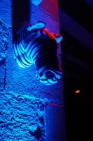 DSC01421_original