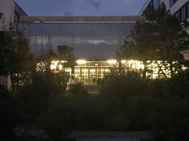 IMG_8888_original